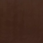 Marrom-absoluto