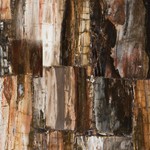 Petrified-Wood-Classic